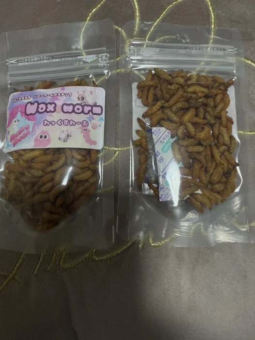 ブログ画像